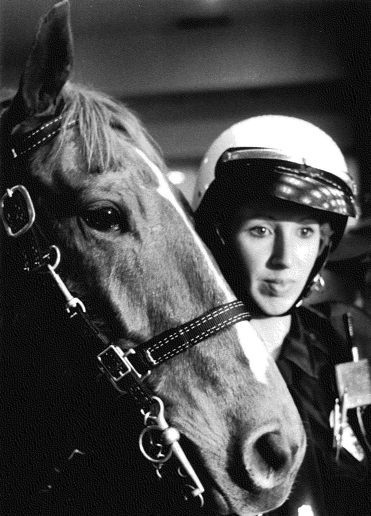 Police horses